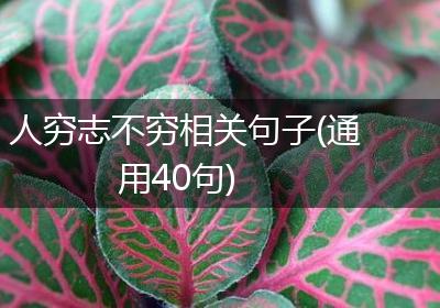 人穷志不穷相关句子(通用40句)