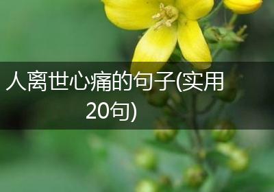 人离世心痛的句子(实用20句)