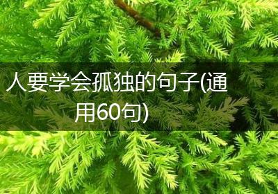 人要学会孤独的句子(通用60句)