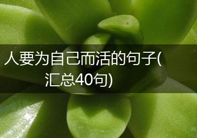 人要为自己而活的句子(汇总40句)