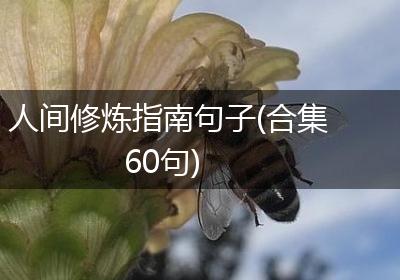 人间修炼指南句子(合集60句)