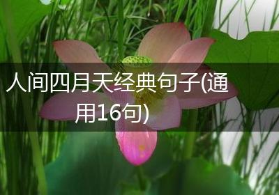 人间四月天经典句子(通用16句)