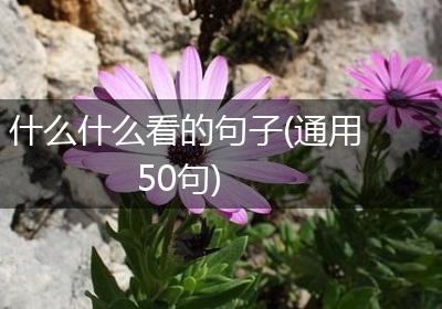 什么什么看的句子(通用50句)