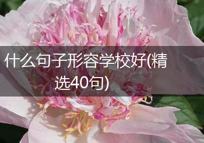 什么句子形容学校好(精选40句)