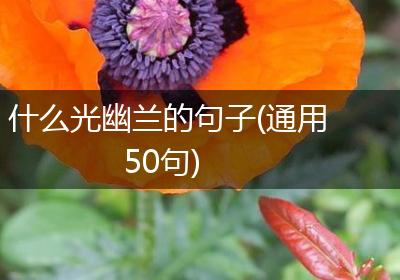 什么光幽兰的句子(通用50句)