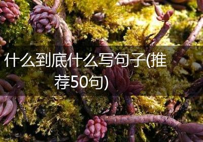 什么到底什么写句子(推荐50句)