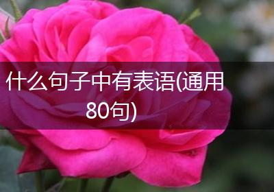 什么句子中有表语(通用80句)