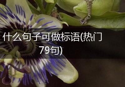 什么句子可做标语(热门79句)