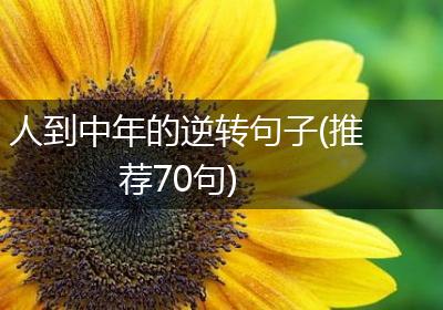人到中年的逆转句子(推荐70句)