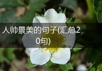 人帅景美的句子(汇总20句)