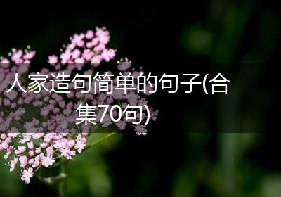 人家造句简单的句子(合集70句)