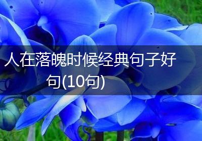 人在落魄时候经典句子好句(10句)
