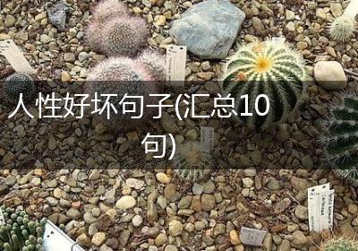 人性好坏句子(汇总10句)