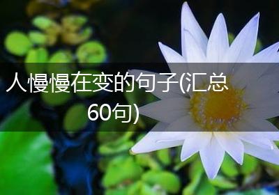 人慢慢在变的句子(汇总60句)