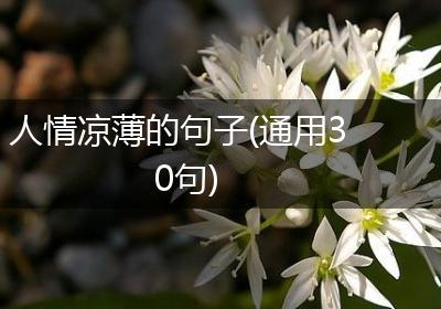 人情凉薄的句子(通用30句)