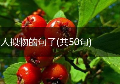 人拟物的句子(共50句)