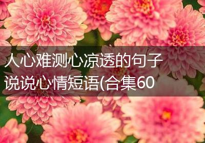 人心难测心凉透的句子 说说心情短语(合集60句)