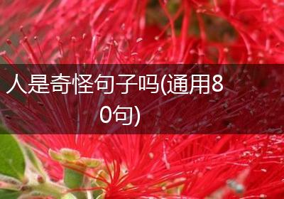 人是奇怪句子吗(通用80句)