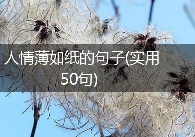 人情薄如纸的句子(实用50句)