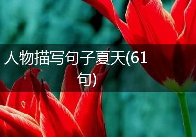 人物描写句子夏天(61句)