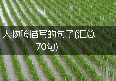 人物脸描写的句子(汇总70句)