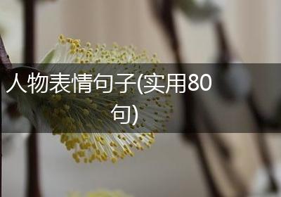 人物表情句子(实用80句)