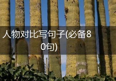 人物对比写句子(必备80句)