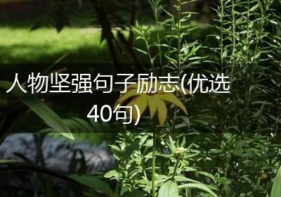 人物坚强句子励志(优选40句)