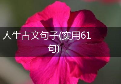 人生古文句子(实用61句)