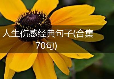 人生伤感经典句子(合集70句)