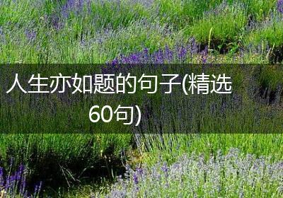 人生亦如题的句子(精选60句)