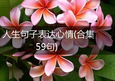 人生句子表达心情(合集59句)
