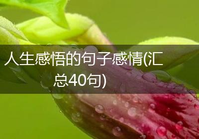 人生感悟的句子感情(汇总40句)