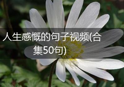 人生感慨的句子视频(合集50句)