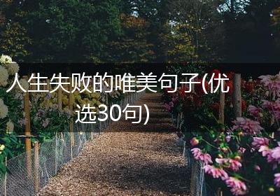 人生失败的唯美句子(优选30句)