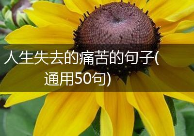 人生失去的痛苦的句子(通用50句)
