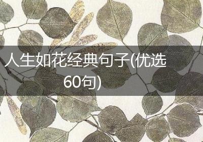 人生如花经典句子(优选60句)