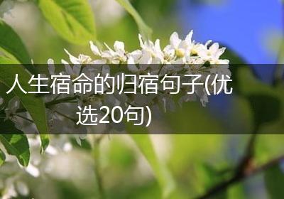 人生宿命的归宿句子(优选20句)
