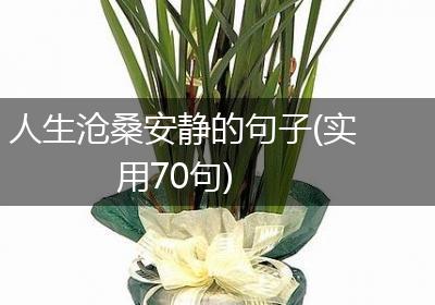 人生沧桑安静的句子(实用70句)