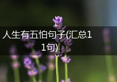 人生有五怕句子(汇总11句)