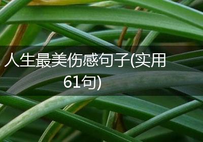 人生最美伤感句子(实用61句)