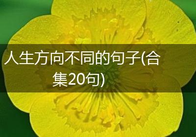 人生方向不同的句子(合集20句)