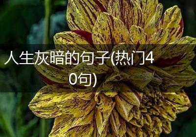 人生灰暗的句子(热门40句)