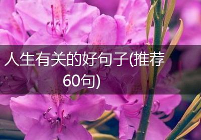 人生有关的好句子(推荐60句)