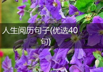 人生阅历句子(优选40句)