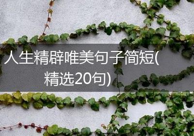 人生精辟唯美句子简短(精选20句)