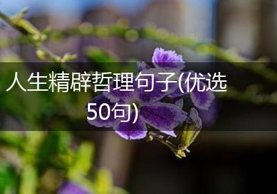 人生精辟哲理句子(优选50句)