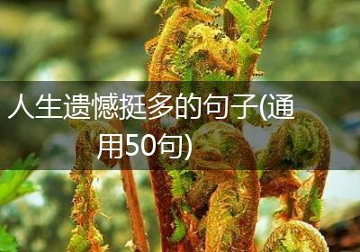 人生遗憾挺多的句子(通用50句)