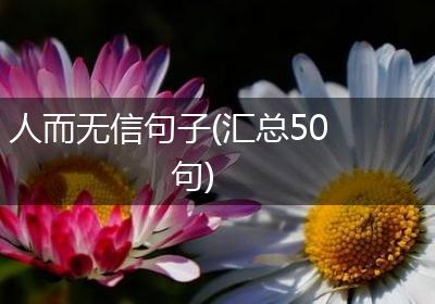 人而无信句子(汇总50句)
