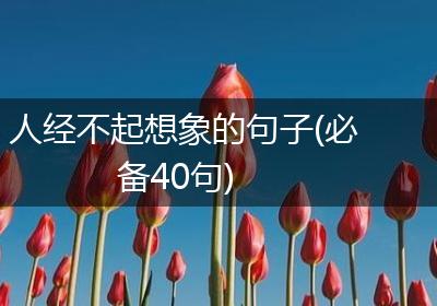 人经不起想象的句子(必备40句)